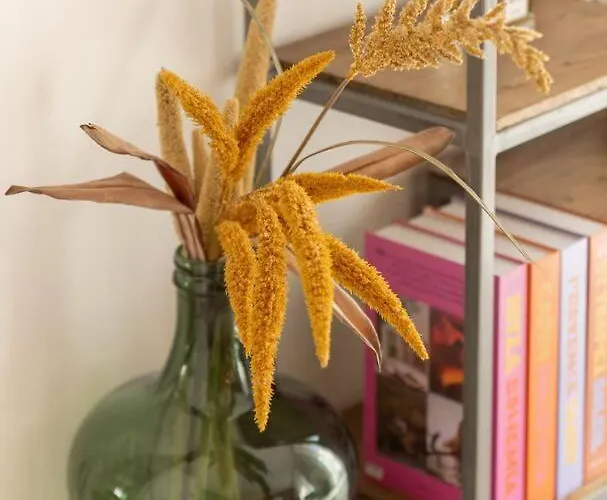 Center Air-conditioned Parking Sainte-Maxime