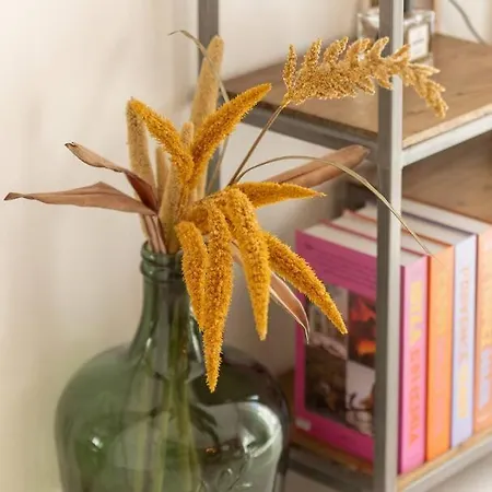 Center Air-conditioned Parking Sainte-Maxime